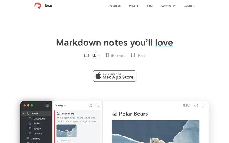 Screenshot of the Bear homepage